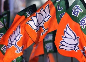 बीजेपी लोकसभा चुनाव