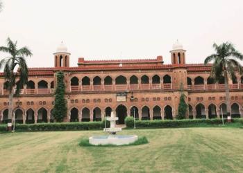 अलीगढ मुस्लिम यूनिवर्सिटी तिरंगा यात्रा