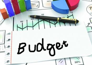 बजट न्यूनतम आय योजना