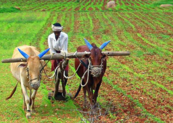 मोदी सरकार किसान