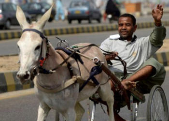 गधे गरीबी पाकिस्तान