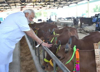 मोदी सरकार बजट किसान