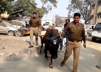 उत्तर प्रदेश योगी