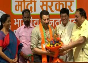 सनी देओल बीजेपी