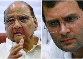 राहुल गांधी शरद पवार पीएम