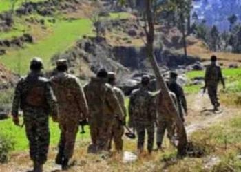 भारत बालाकोट इटैलियन पत्रकार