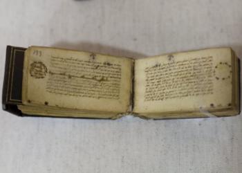 ऋचा भारती