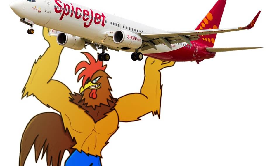 स्पाइस जेट