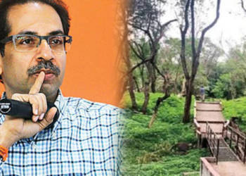 उद्धव ठाकरे