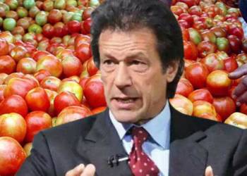 “वो हमारी सबसे बड़ी भूल थी” पाकिस्तान ने माना, भारत-पाक व्यापार रद्द करना बना आफत का कारण