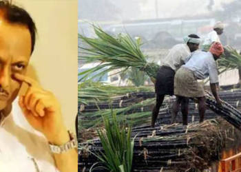 शरद पवार, एनसीपी, चीनी मील