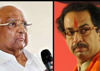 उद्धव ठाकरे, शरद पवार, भीमा कोरेगांव, एनसीपी, शिवसेना,