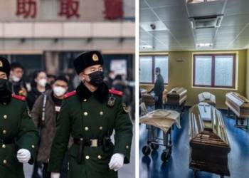 कोरोनावायरस