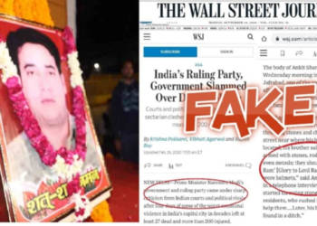 वॉल स्ट्रीट जर्नल, विदेशी मीडिया, अंकित शर्मा, दिल्ली, फेक न्यूज