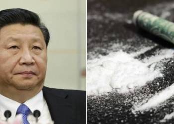 ड्रग कार्टल