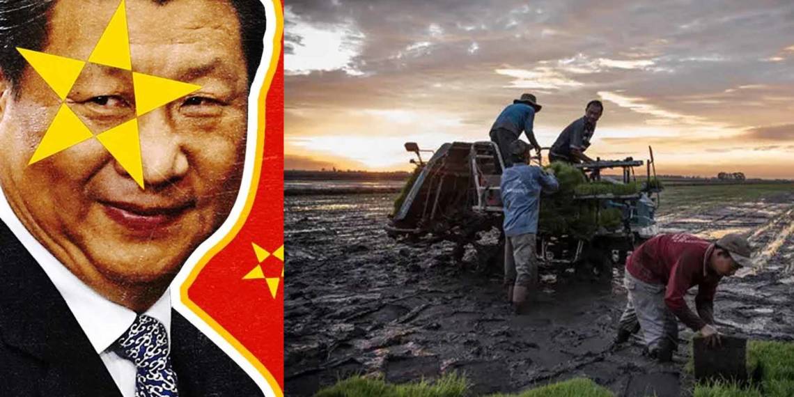 मेकोंग, नदी, चीन, पानी, जल, ताइवान,