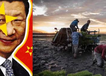 मेकोंग, नदी, चीन, पानी, जल, ताइवान,