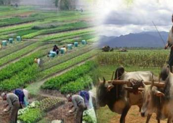 कृषि उद्योग