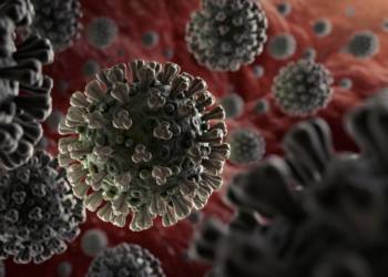 कोरोना महामारी पर निबंध