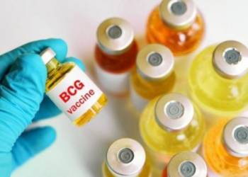 BCG, कोरोना, भारत, अमेरिका, टीकाकरण,