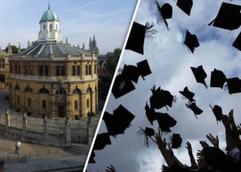 विश्वविद्यालय