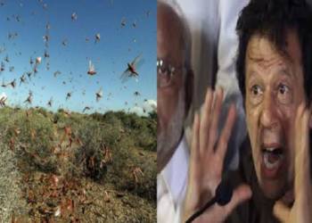 पाकिस्तान