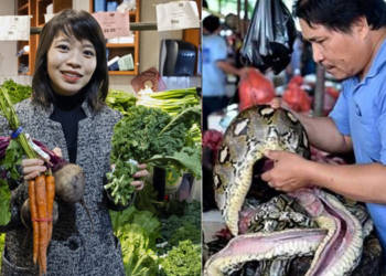 चमगादड़, कुत्ते, और बिल्ली खाने के बाद चाइनीज खाएँगे पालक-लौकी, अब इस प्रोपेगेंडा को भी समझ लीजिए