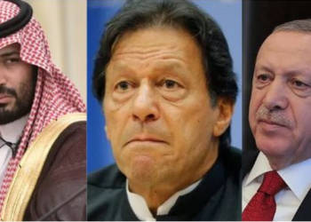 तुर्की, पाकिस्तान, एर्दोगन, यूएई, अरब, सउदी अरब, मालदीव