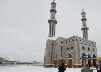 नीदरलैंड्स