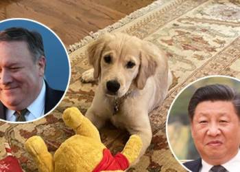 जिनपिंग