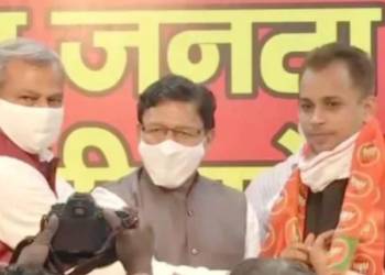 शहजाद अली