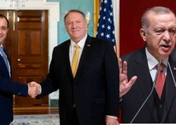 साइप्रस