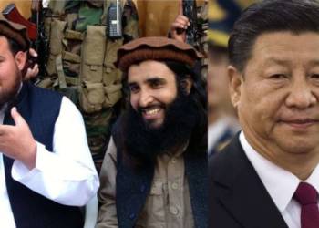 तालिबान