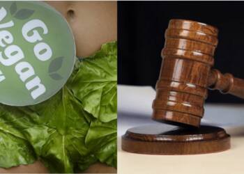 डेरी उद्योग