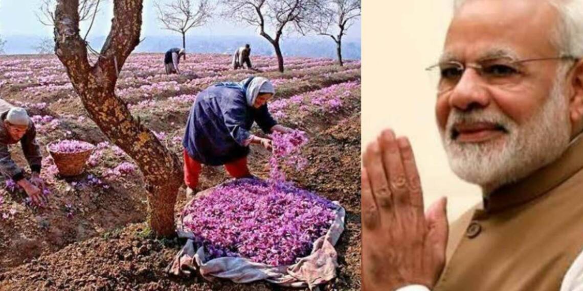केसर