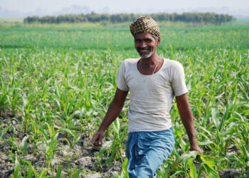 कृषि कानूनों का धन्यवाद: कर्नाटक में किसानों को अपनी फसलों पर मिले MSP से ज्यादा दाम