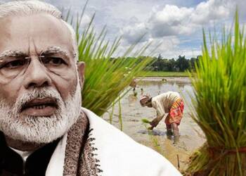 किसानों