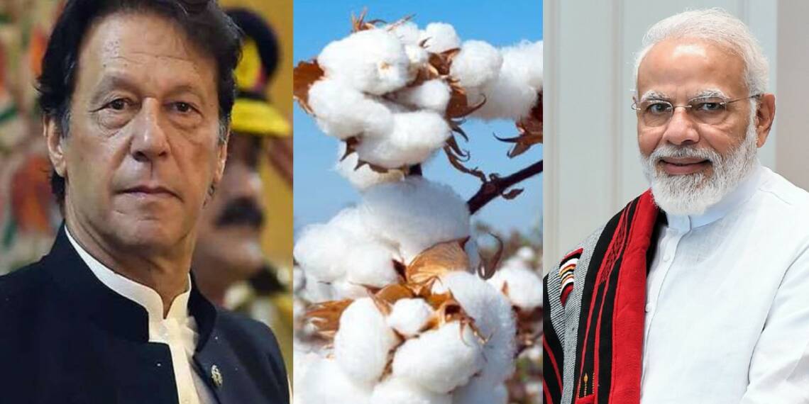 ‘हमें कपास चाहिए, इमरान खान बैन हटाओ’, कमी के चलते पाकिस्तानी भारत से कपास आयात करना चाहते हैं
