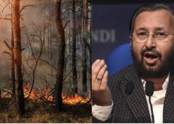 भारत का सबसे बड़ा Biosphere रिजर्व पिछले 10 दिनों से जल रहा है, पर किसी को इसकी कोई परवाह नहीं है