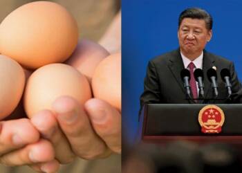 वैक्सीन