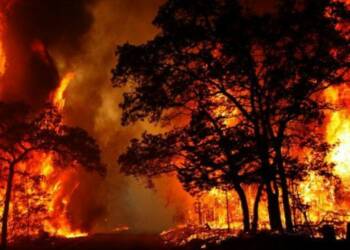 उत्तराखंड