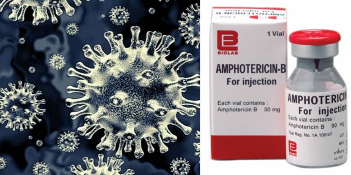 ब्लैक फंगस दवा Amphotericin B
