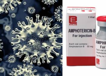 ब्लैक फंगस दवा Amphotericin B