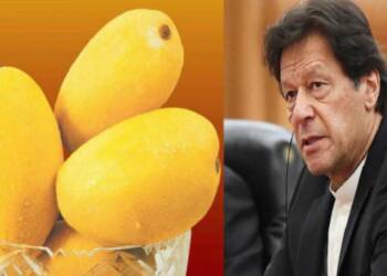 पाकिस्तान आम