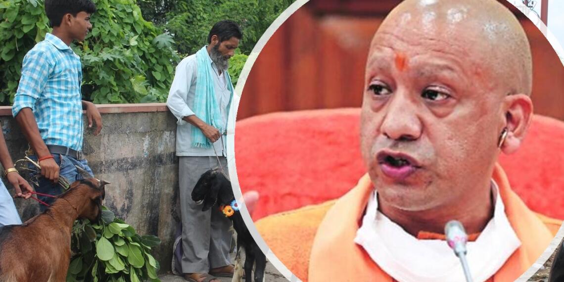 बकरीद Yogi Adityanath