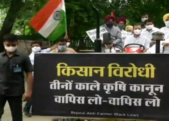 राहुल गांधी ट्रैक्टर