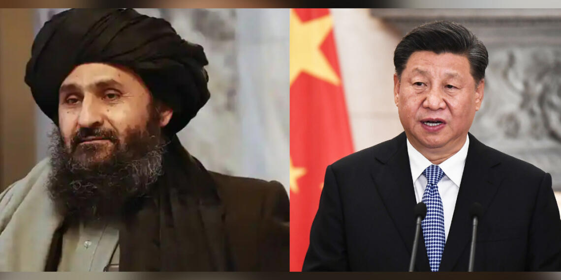 तालिबान हमास