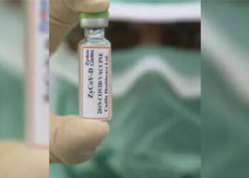 ZyCoV-D वैक्सीन