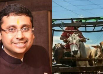 वनुआटू सरकार