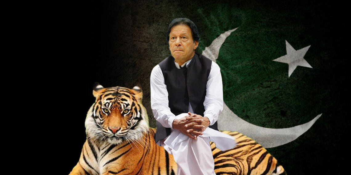 पाकिस्तान तालिबान